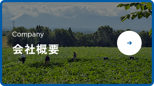 bnrhalf_company